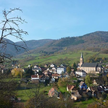Gite Schlitteur Et Sapiniere Breitenbach Kültér fotó