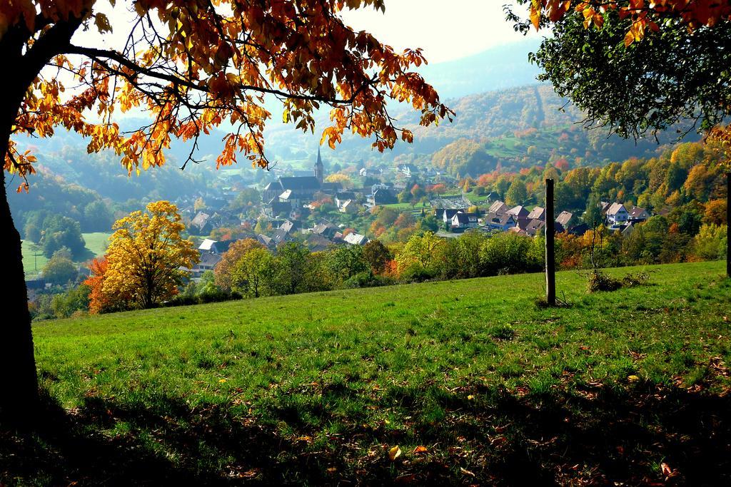 Gite Schlitteur Et Sapiniere Breitenbach Kültér fotó
