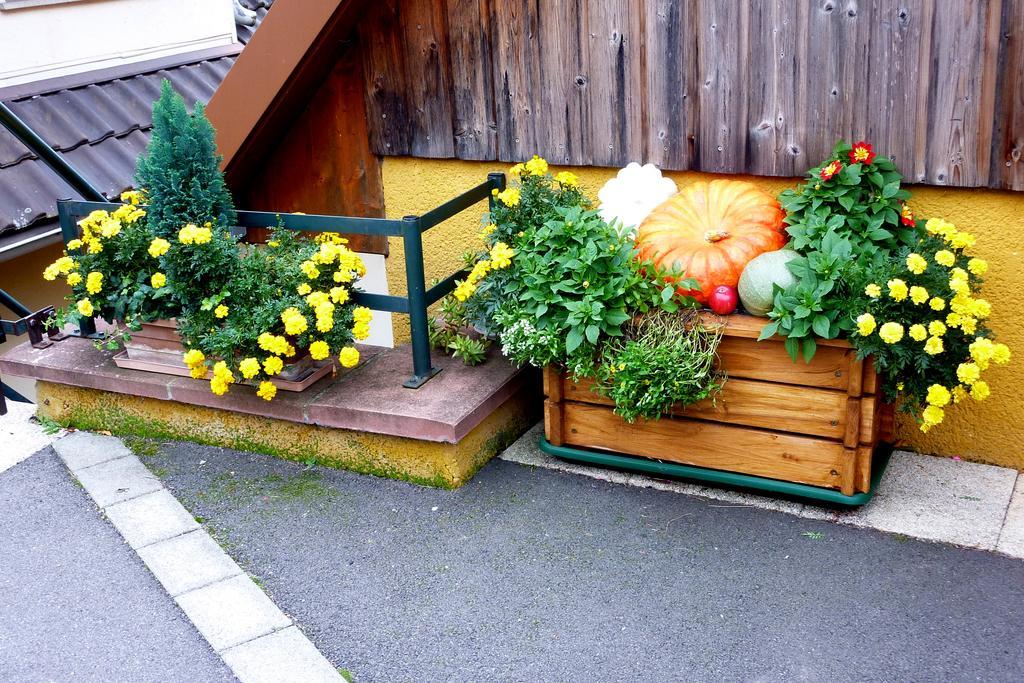 Gite Schlitteur Et Sapiniere Breitenbach Kültér fotó