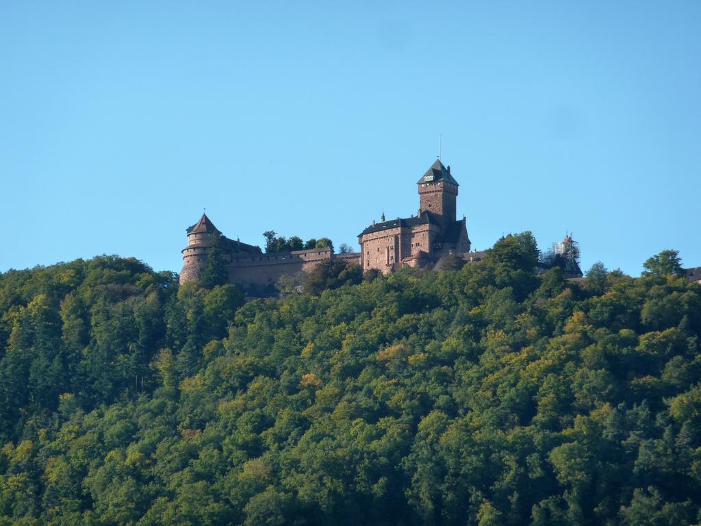 Gite Schlitteur Et Sapiniere Breitenbach Kültér fotó