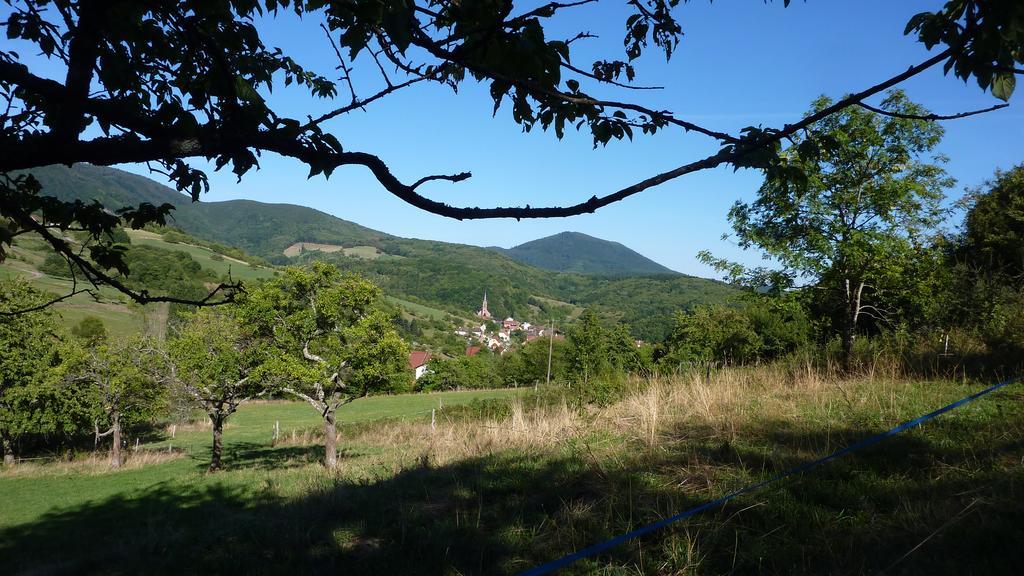Gite Schlitteur Et Sapiniere Breitenbach Kültér fotó