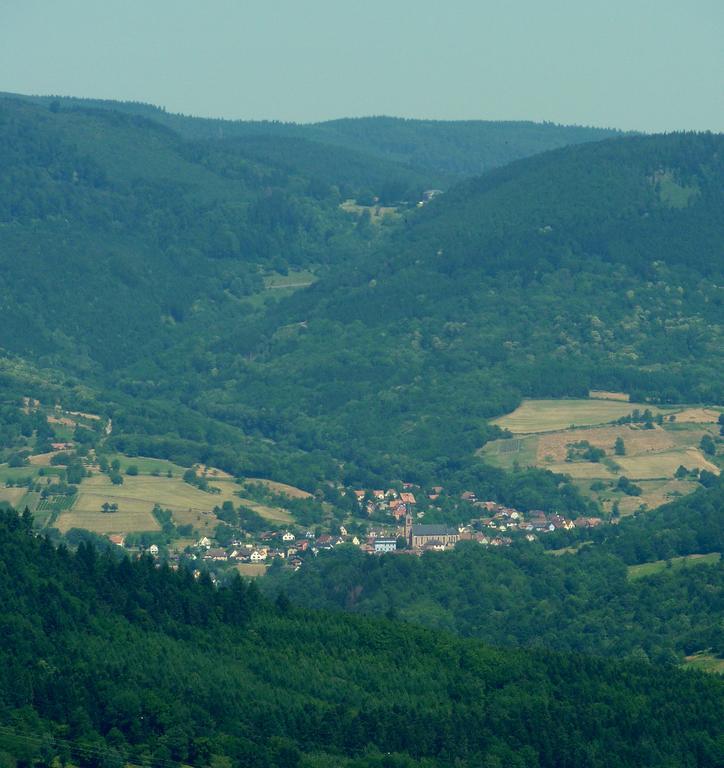 Gite Schlitteur Et Sapiniere Breitenbach Kültér fotó