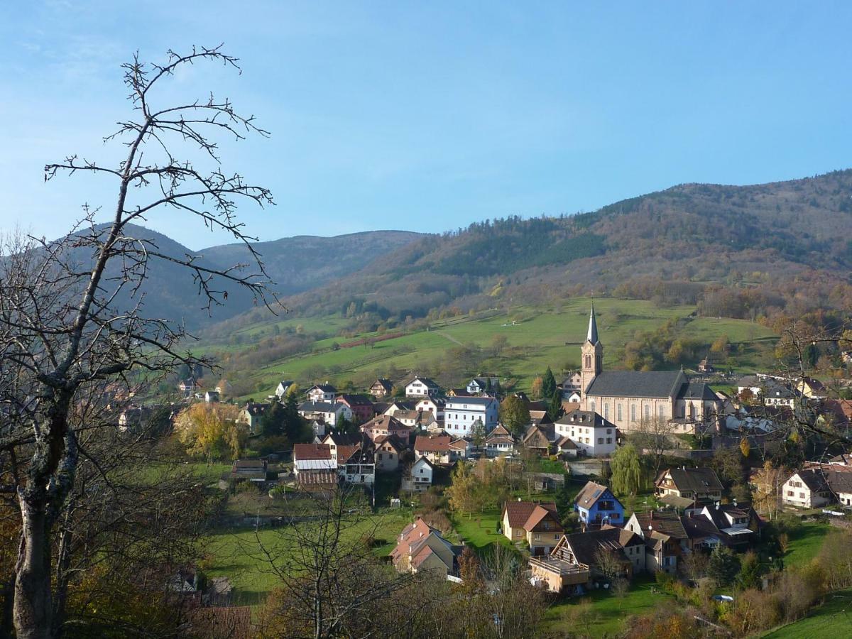Gite Schlitteur Et Sapiniere Breitenbach Kültér fotó