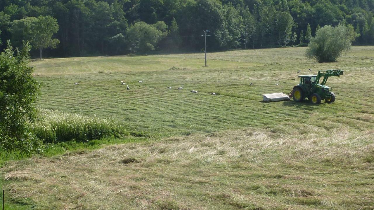 Gite Schlitteur Et Sapiniere Breitenbach Kültér fotó