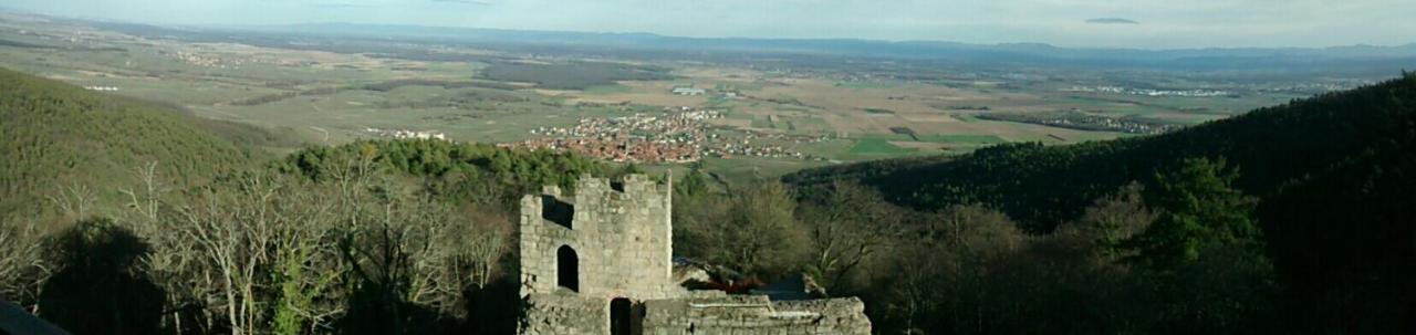 Gite Schlitteur Et Sapiniere Breitenbach Kültér fotó